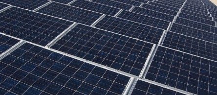 Cabildo and Council Unite Against Mácher Photovoltaic Plant – WWW.ELCHAPLON.COM